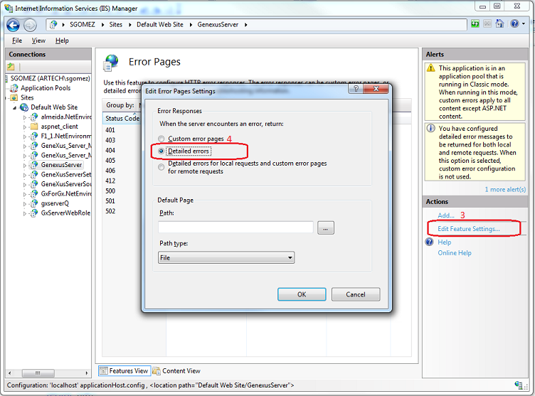 DetailedErrors on IIS7