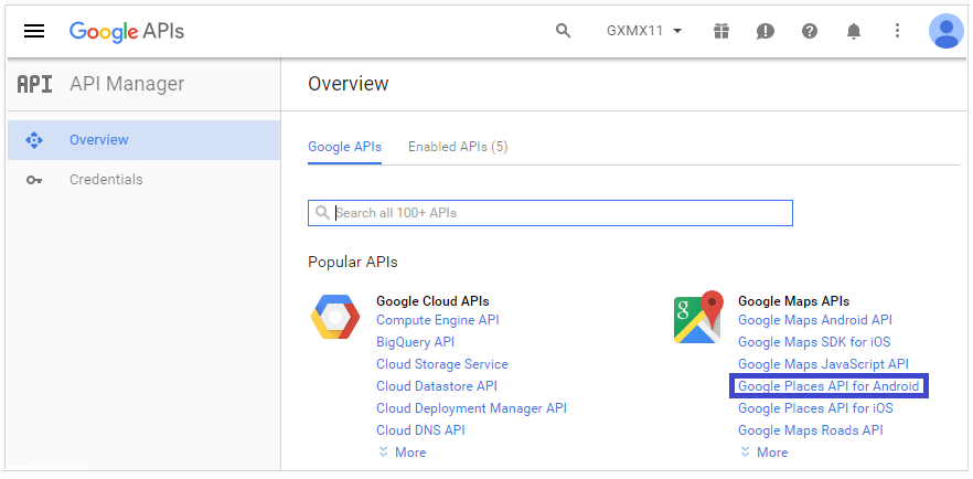 GooglePlaces - Developer Console