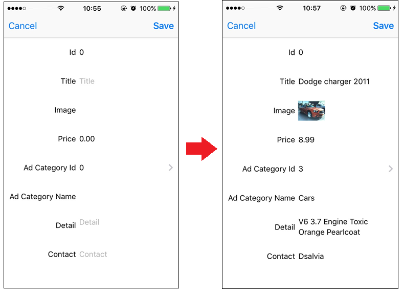 Sample - Classified Ads - Insert (iOS)