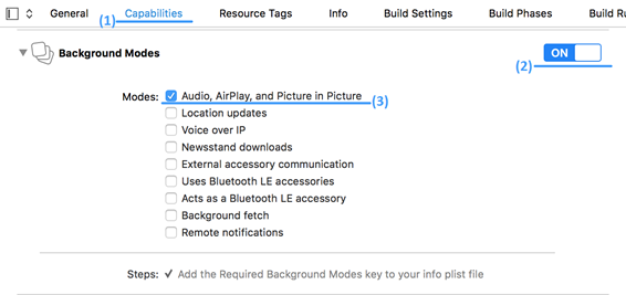 AudioController - Background Mode - XCode