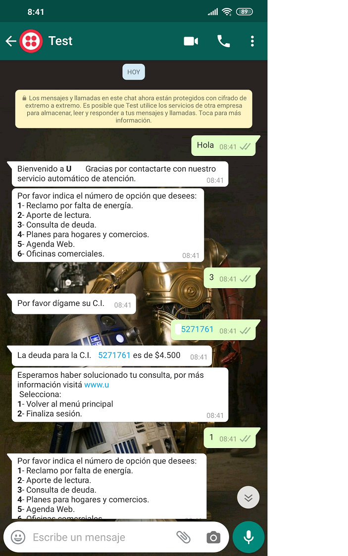Scripted Chatbot1