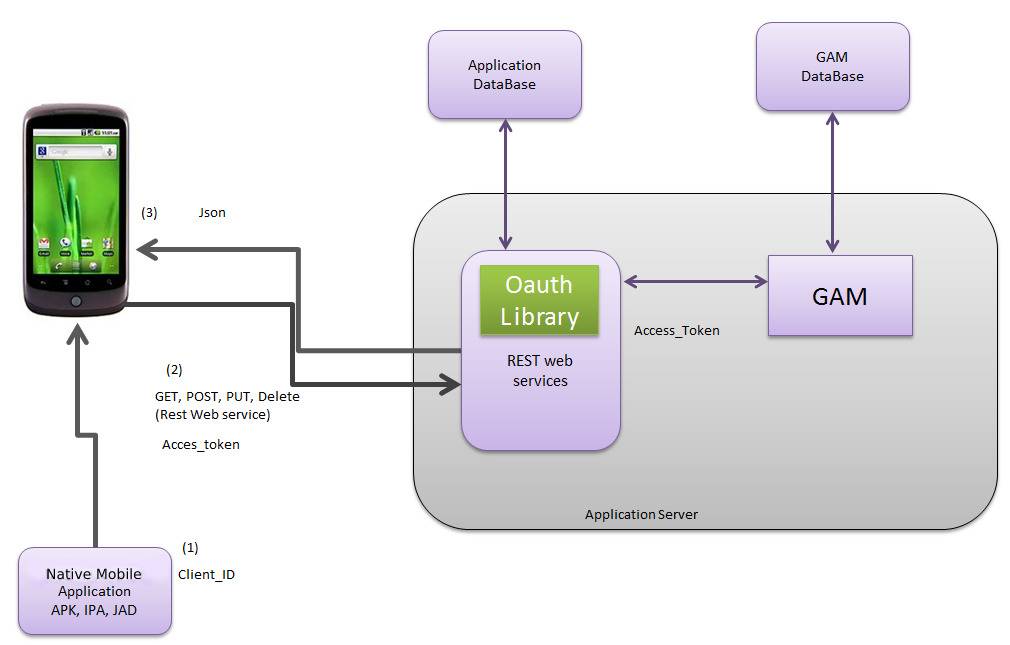 Secure Native Mobile applications architecture image