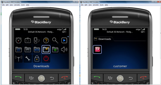 BlackBerry Step 9